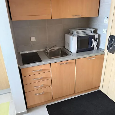 Apartman Konaci Spacious In The Heart Of The Slopes Kopaonik